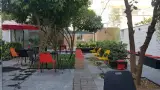 Zone Cafe