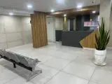 دکتر زیبایی