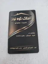 املاک کوه نور