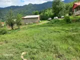 املاک بزرگ عرشیا