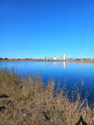 لنگرود