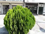 مشاور املاک حسین نژاد