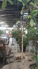 رستوران سنتی دیبا