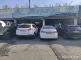 تپ کار بادی در تهران