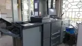 پویاتکثیر