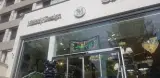 ملودی دیزاین