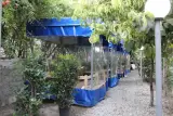 Mehro Mah Garden Restaurant