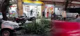مشاورین املاک حامی