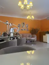 سالن ثمینه