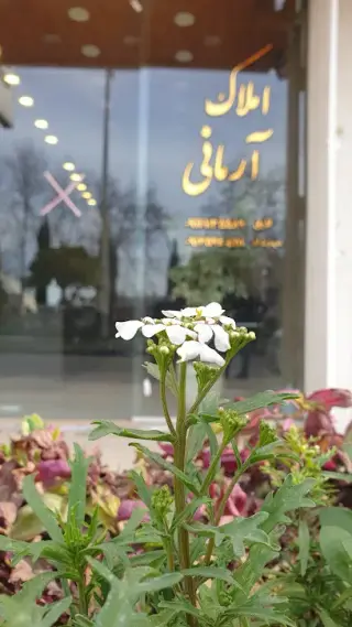 مهندس لایق( گروه مشاورین املاک)