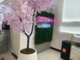 Fahimi beauty salon سالن زیبایی فهیمی