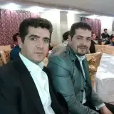 هارپون وپروفیل سقف کشسان