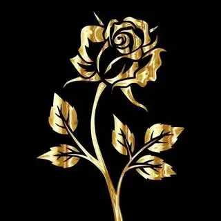 فروشگاه لوازم دكوري گلدن رز