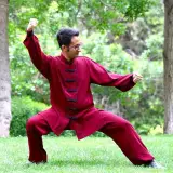 Jahed Bagheri - TaiJi
