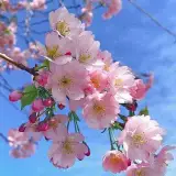 دکتر علی فتحی آشتیانی