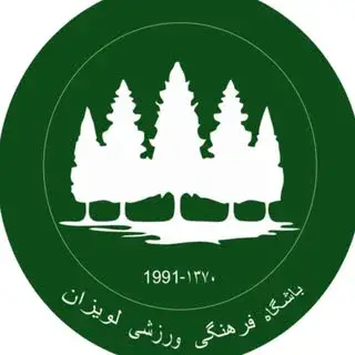 آکادمی فوتبال لویزان