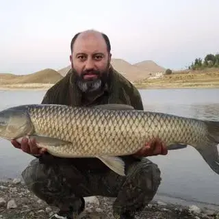 Carp_fishing