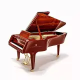 Piano موسیقی سیامک. گالری پیانو