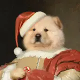 PIXPETS