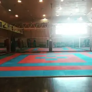 rahpouyan_deihim