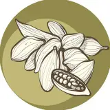 Hel Cafe هِل کافه