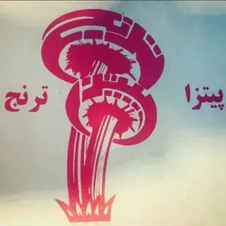 پیتزا ترنج  پاتريس شعبه٢ تهران ويلا