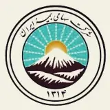 شرکت خدمات بیمه آینده بسیط