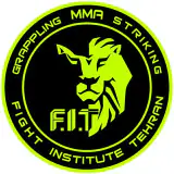 Fight Institute Tehran (F.I.T)