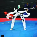 tkd_samenolhojaj