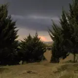 سرخه حصار پارک
