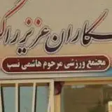 مجتمع ورزشی هاشمی نسب