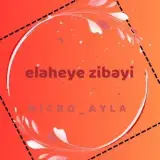 micro_ayla  آموزش و خدمات