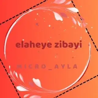 micro_ayla  آموزش و خدمات
