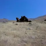 طارم باستان