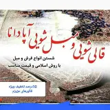 قالیشویی و مبل شویی آپادانا