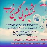 خشکشویی نگین غرب