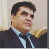 Majidzolfaghary