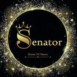 گالری موسیقی سناتور موزیک