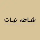 شیرینی شاخه نبات
