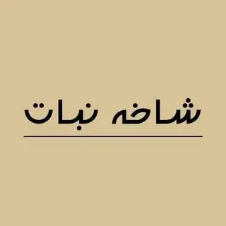 شیرینی شاخه نبات