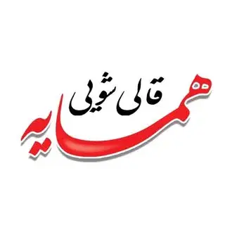 مبل شویی و قالیشویی همسایه