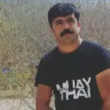 سید هاشمی