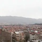 اخبار شهرک سرو آزاد