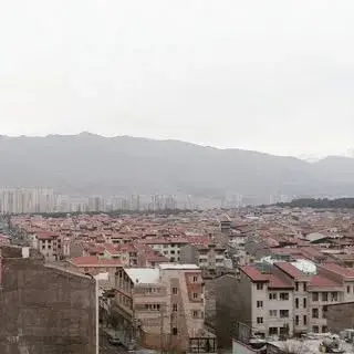 اخبار شهرک سرو آزاد