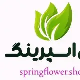 گل اسپرینگ