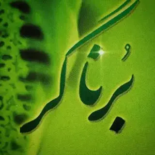 فیزیوتراپی برناگر