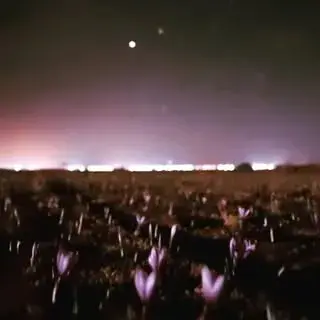 تربت من