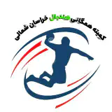 کمیته همگانی هندبال