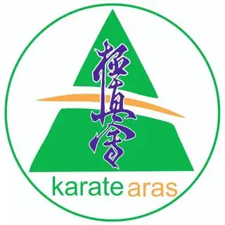 kyokushin karate aras
