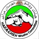 هیئت ووشو شهرستان مراغه